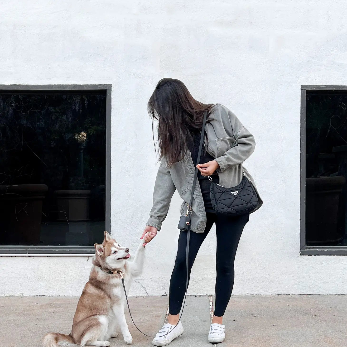 Collar de perro impermeable - Ember Black