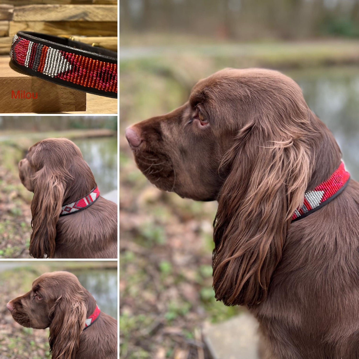 Collar de perro con cuentas - Milou