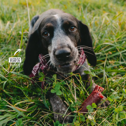 VEGDOG - Chevvies Xl