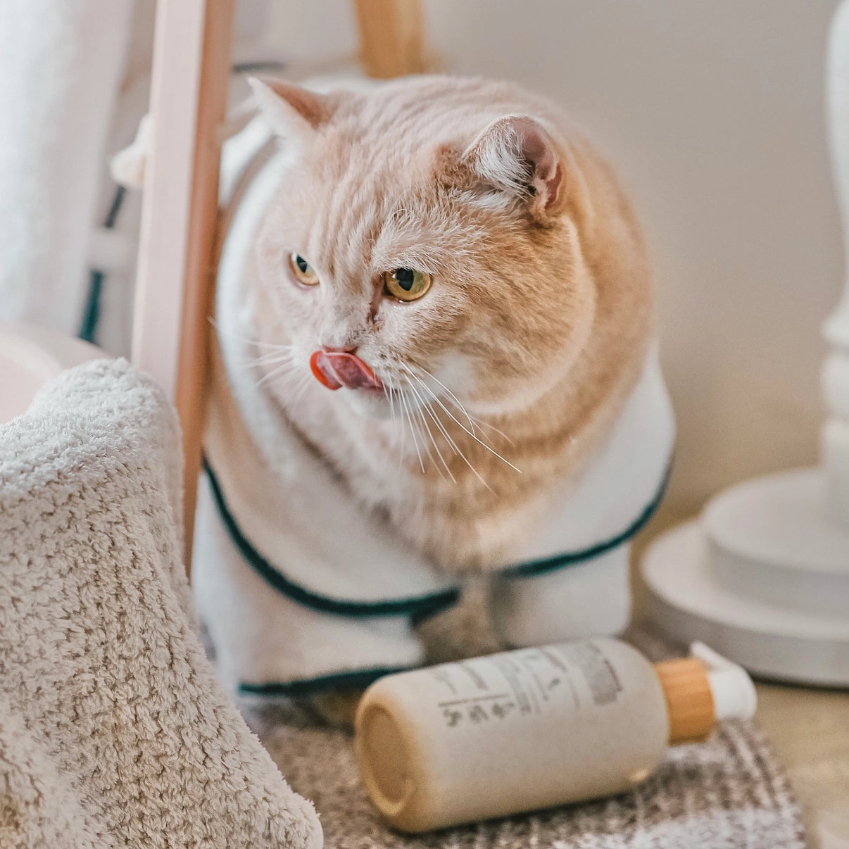 Champú de aminoácidos para mascotas