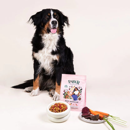 Alimento vegetal para perros - Beet Booster