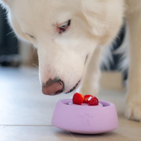 Yoomy Wobble Enrichment Toy | Lavender