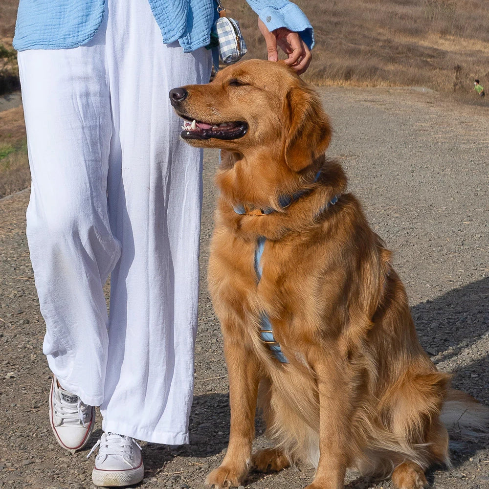 Arnés impermeable para perros - Azul malibú