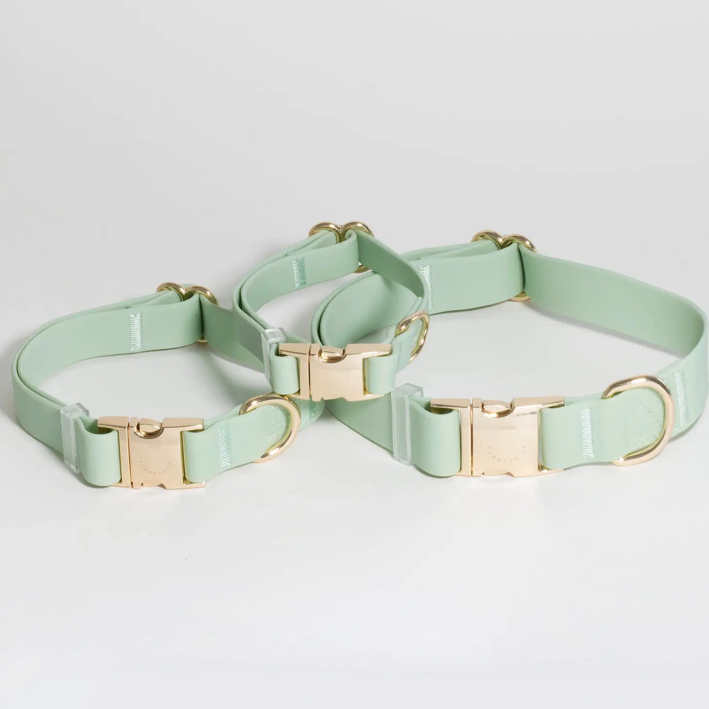 Collar de perro impermeable - Verde pistacho