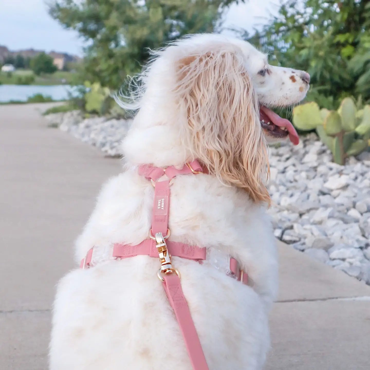 Waterproof Dog Harness - Perfect Pink