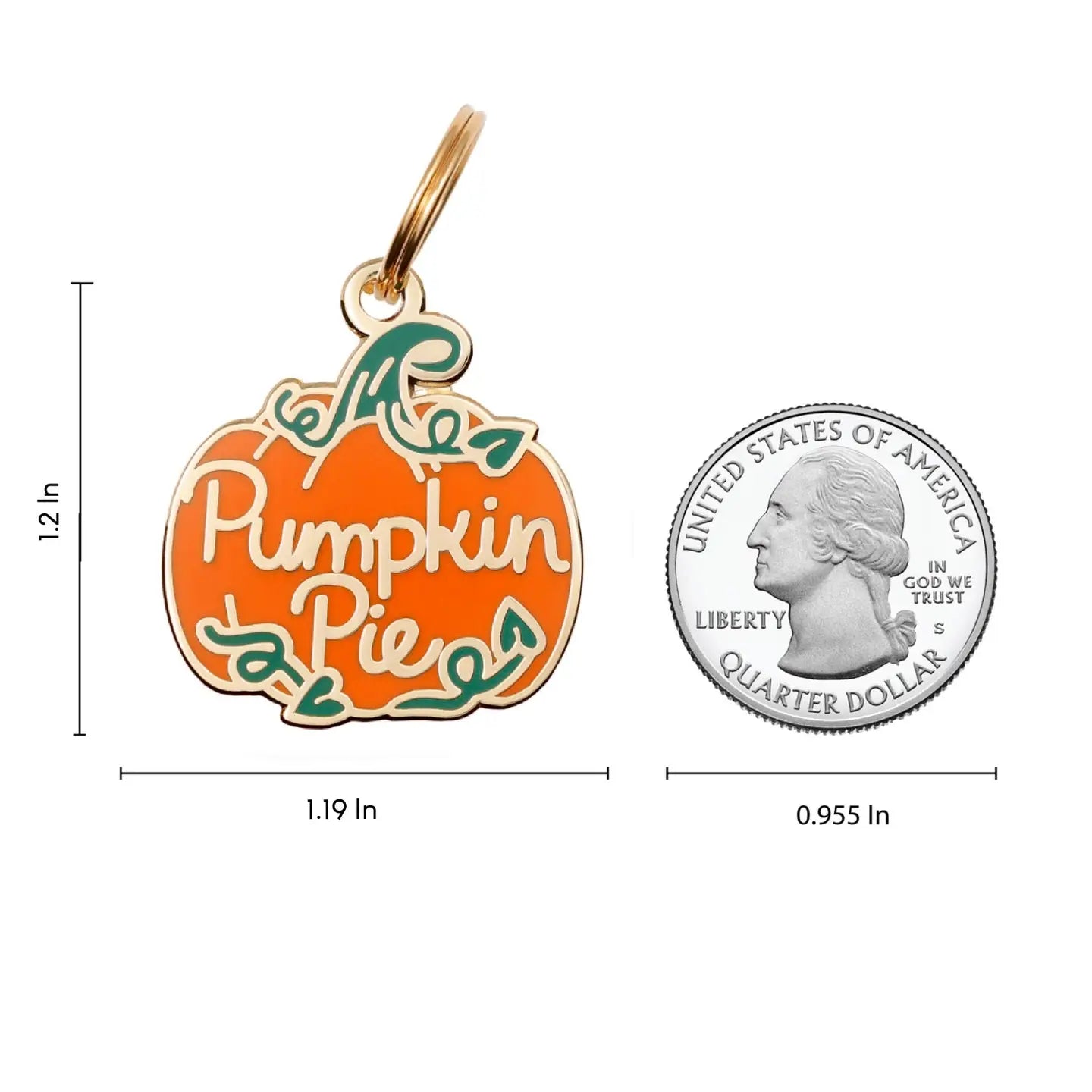 Pumpkin Pie Dog Tag