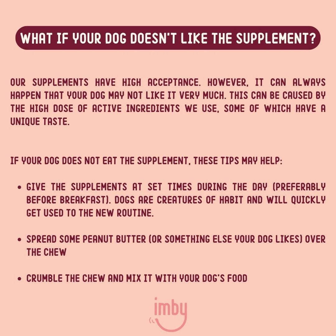 Skin Health | Supplement Chews for Dogs