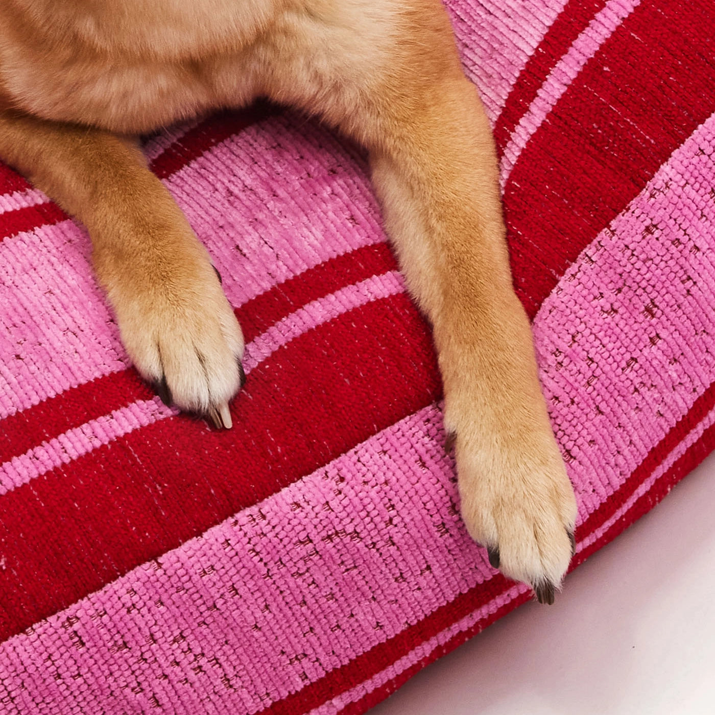 Cama para perro a rayas - Rosa/Rojo