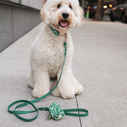 Correa impermeable para perros - Verde prado