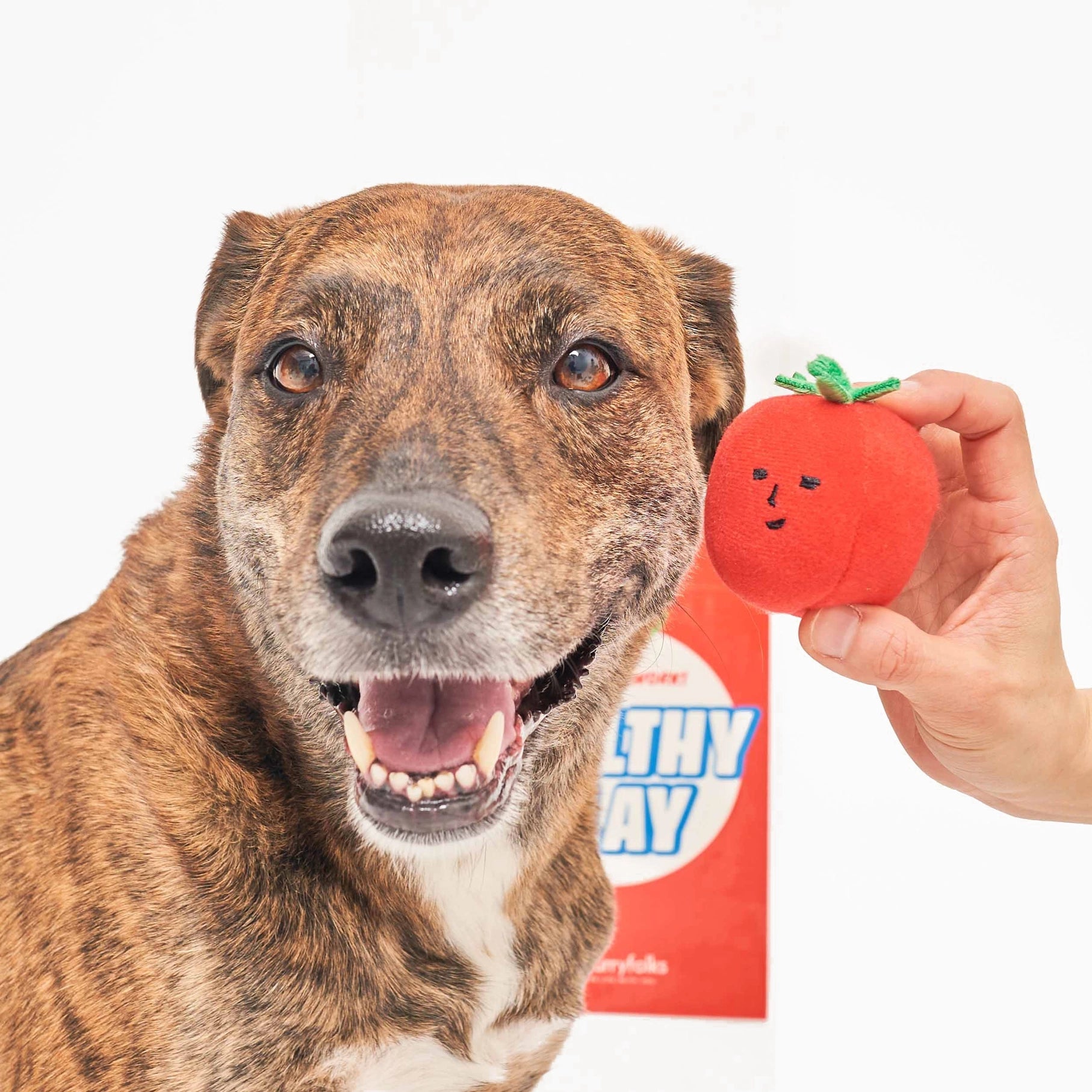 Tomate Cereza Juguete de Tirar y Trabajar la Nariz