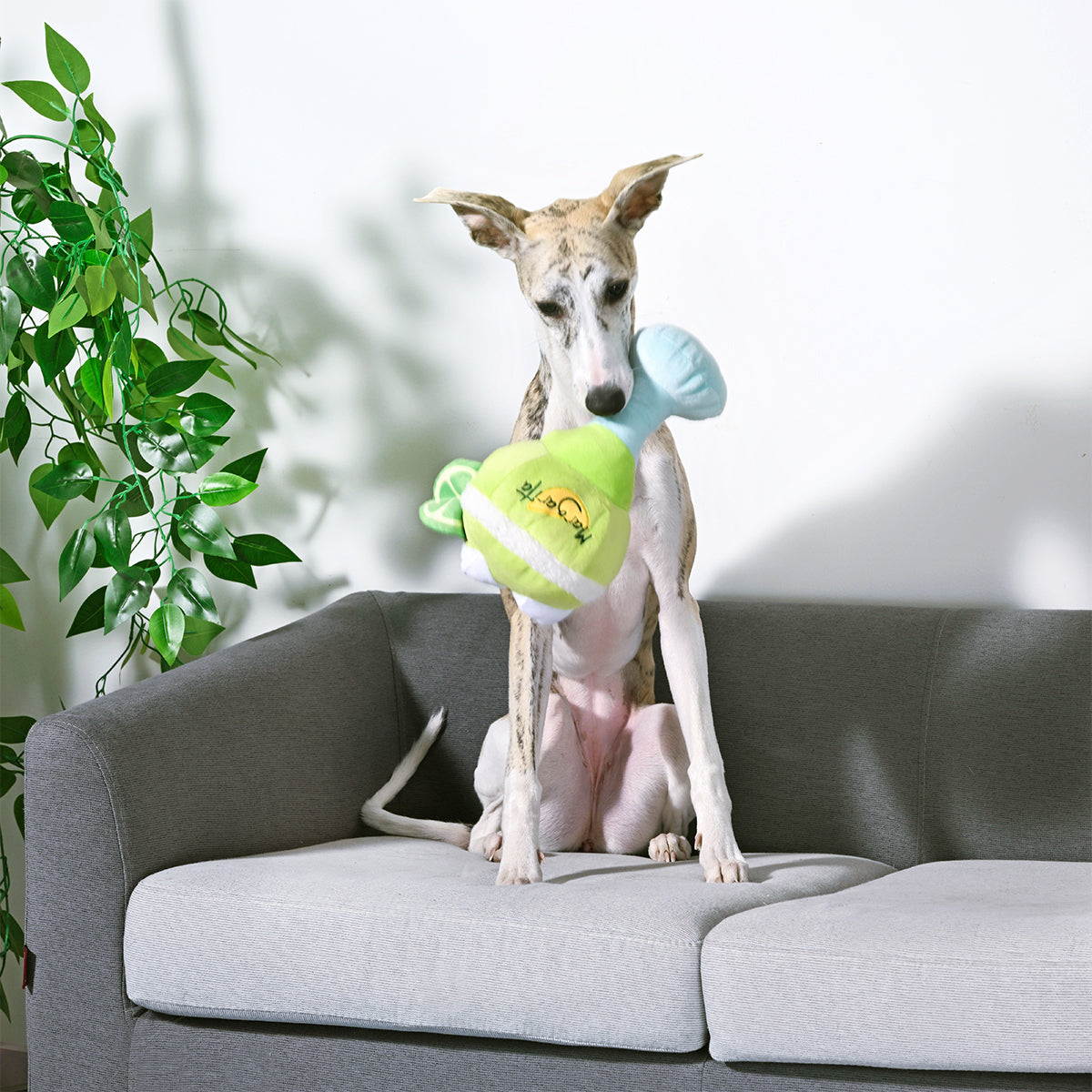 Beach Daze - Margarita