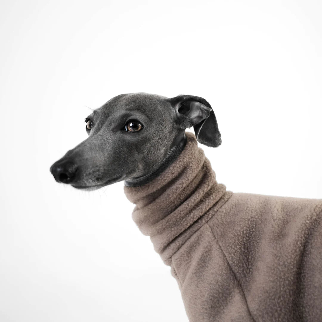 GREYHOUND Mono polar - Nogal