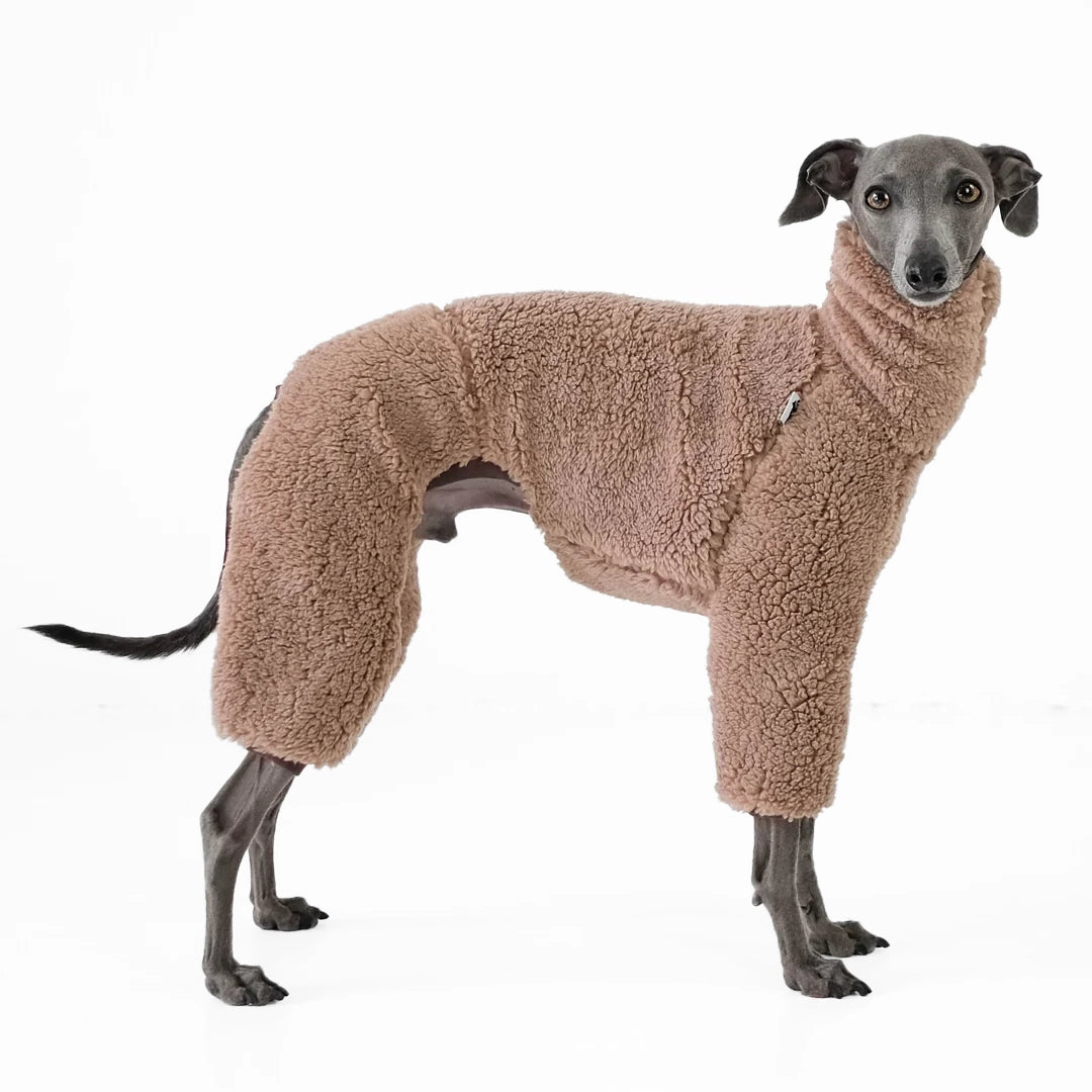 GREYHOUND Teddy Overall - Marrón