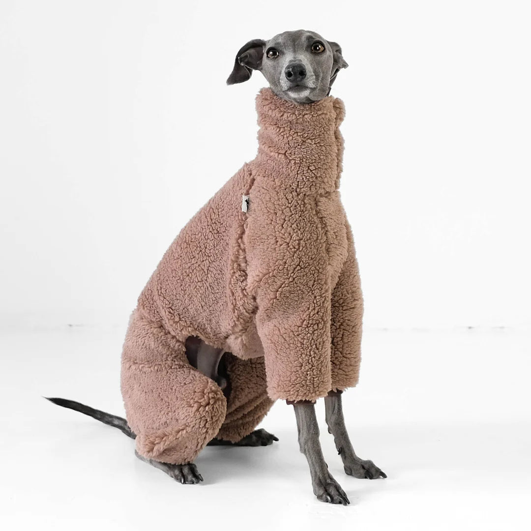 GREYHOUND Teddy Overall - Marrón