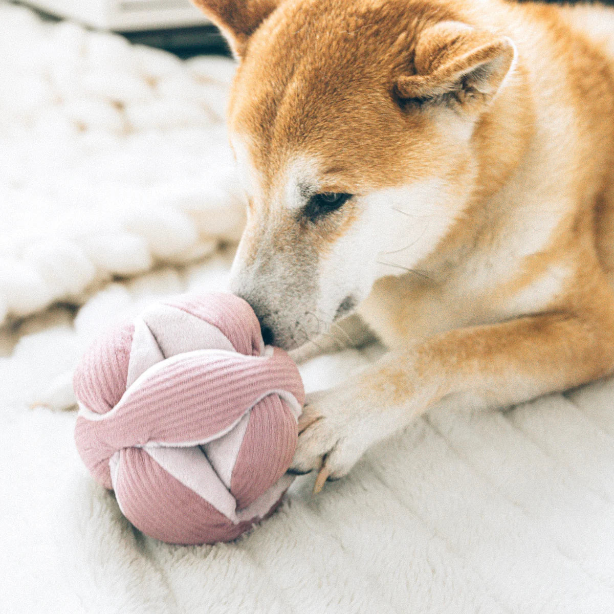 Monti - Rosa | Snuffle Ball