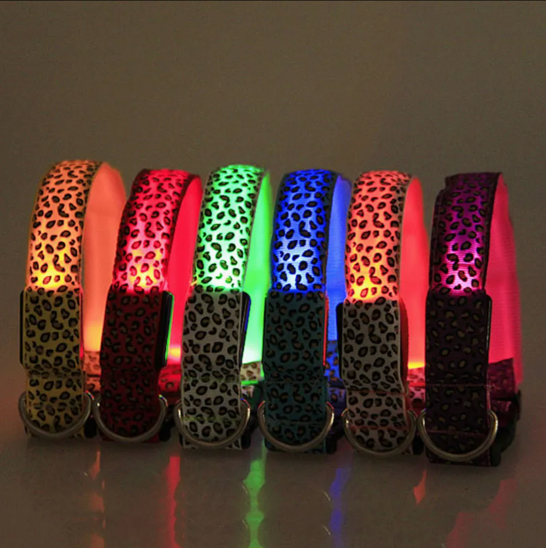 LED Dog Collar - Yellow