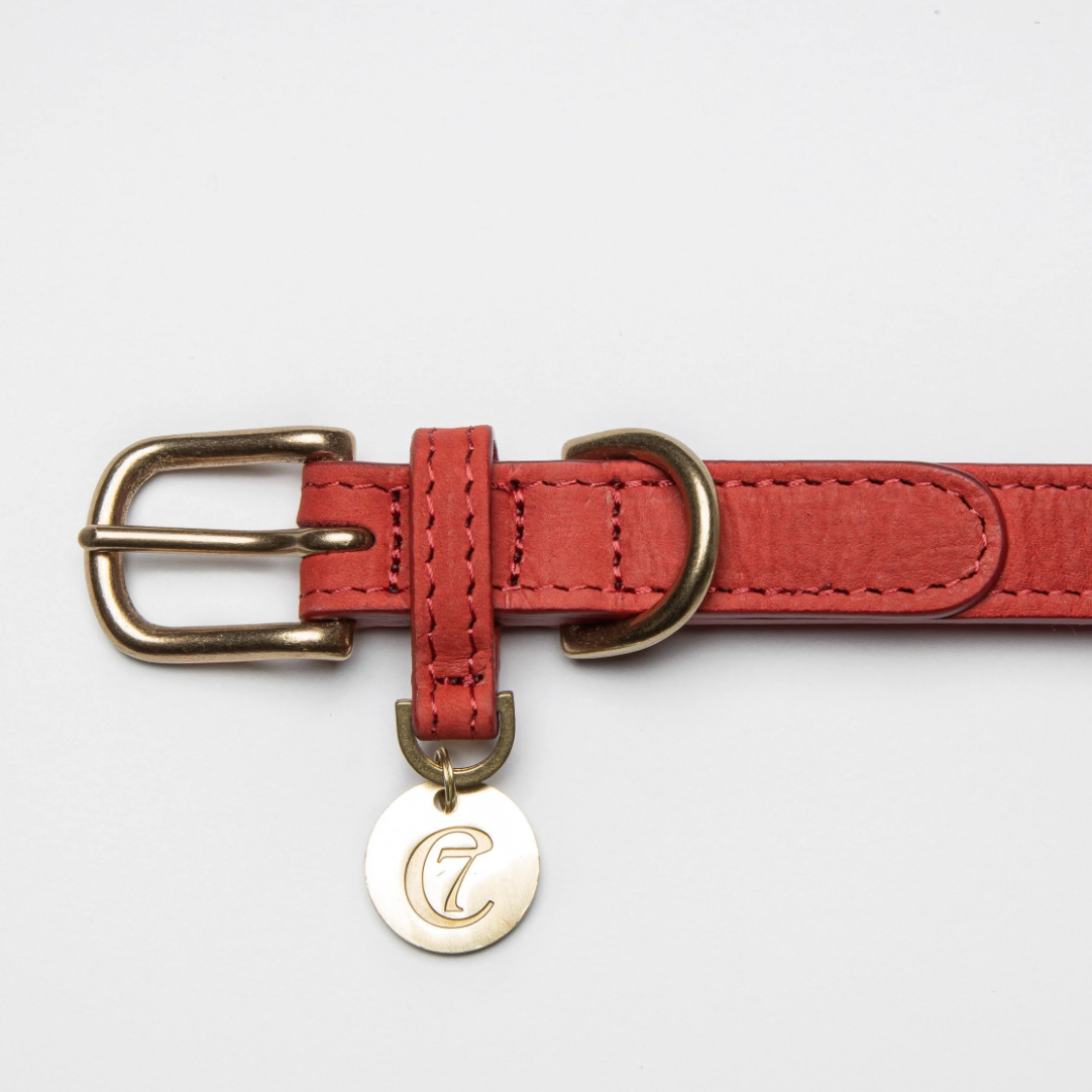 Cloud7 Dog Collar Tiergarten - Cherry Red