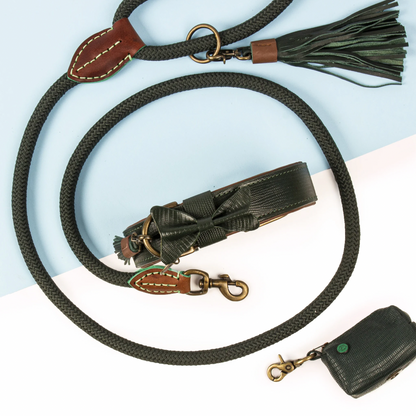 Bowie Dog Leash