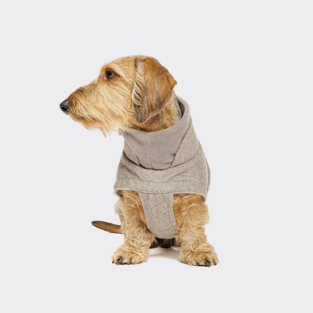Cloud7 Brooklyn Coat DACHSHUND - Tweed Beige