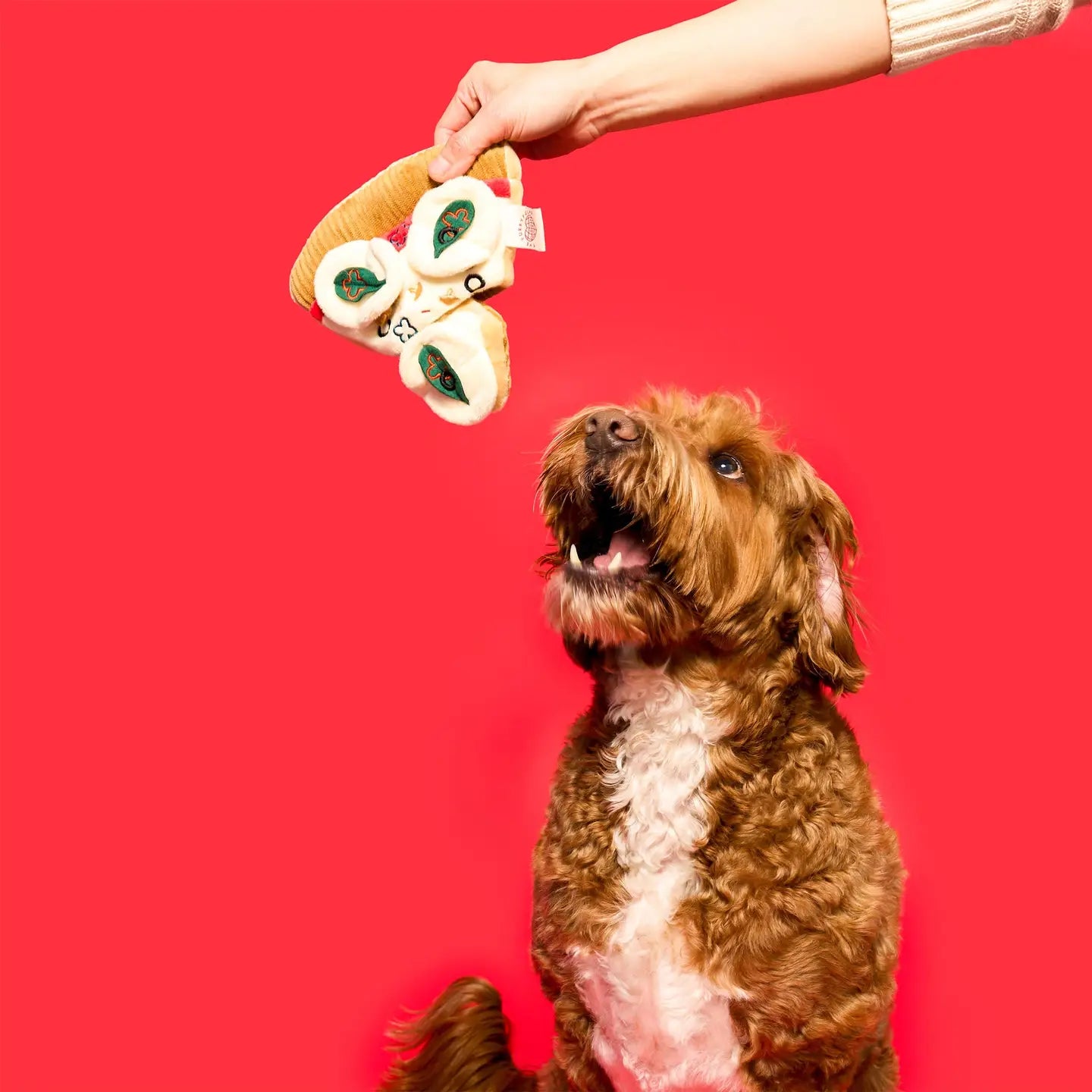 Pizza Nosework Toy