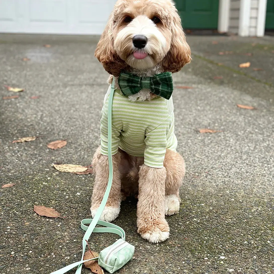 Correa impermeable para perros - Verde pistacho