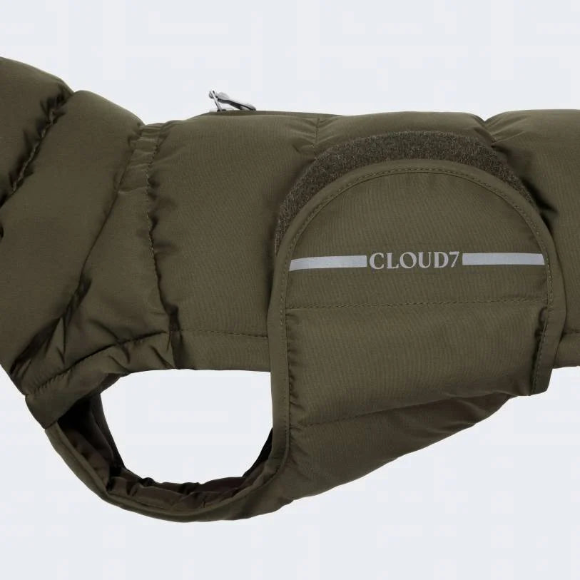 Cloud7 Abrigo de invierno Alaska DACHSHUND - Oliva