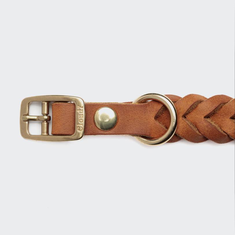 Cloud7 Dog Collar Central Park - Camel