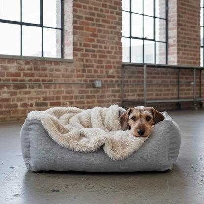 Dog Blanket - Mowgli Beige