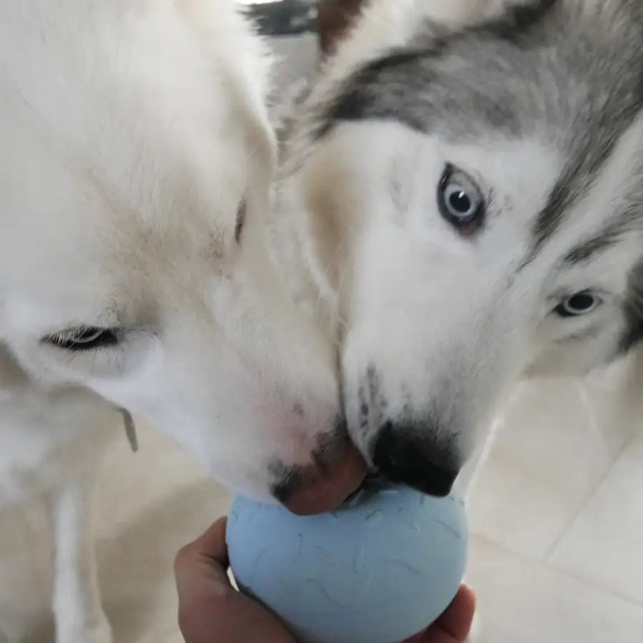 Yoomy Donut Enrichment Toy | Blue