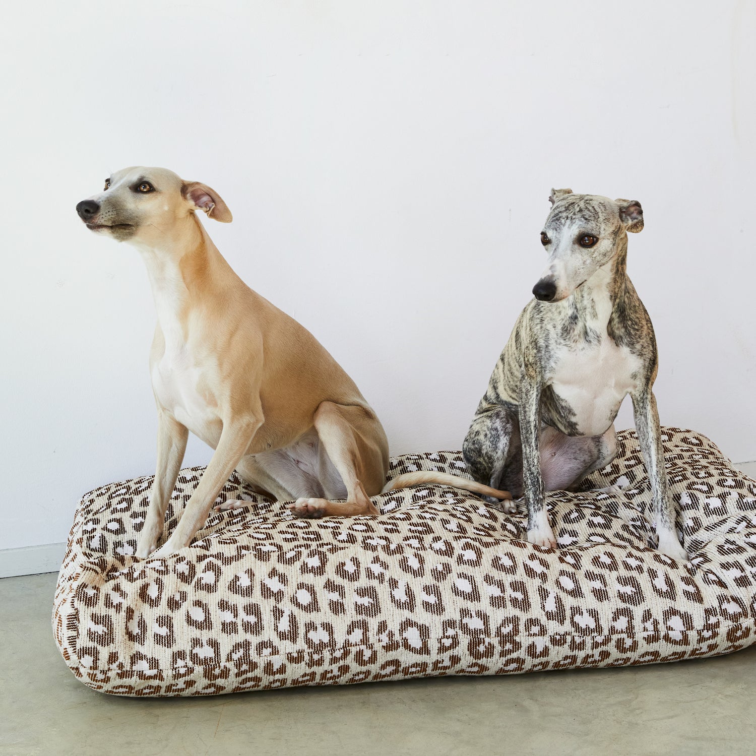 Leopard Dog Bed - Beige/Brown