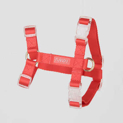 Dog Harness - Coral