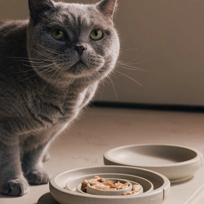 Whisker Friendly Cat Bowl - Owl Greige