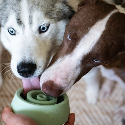 Yoomy Wobble Enrichment Toy | Sage