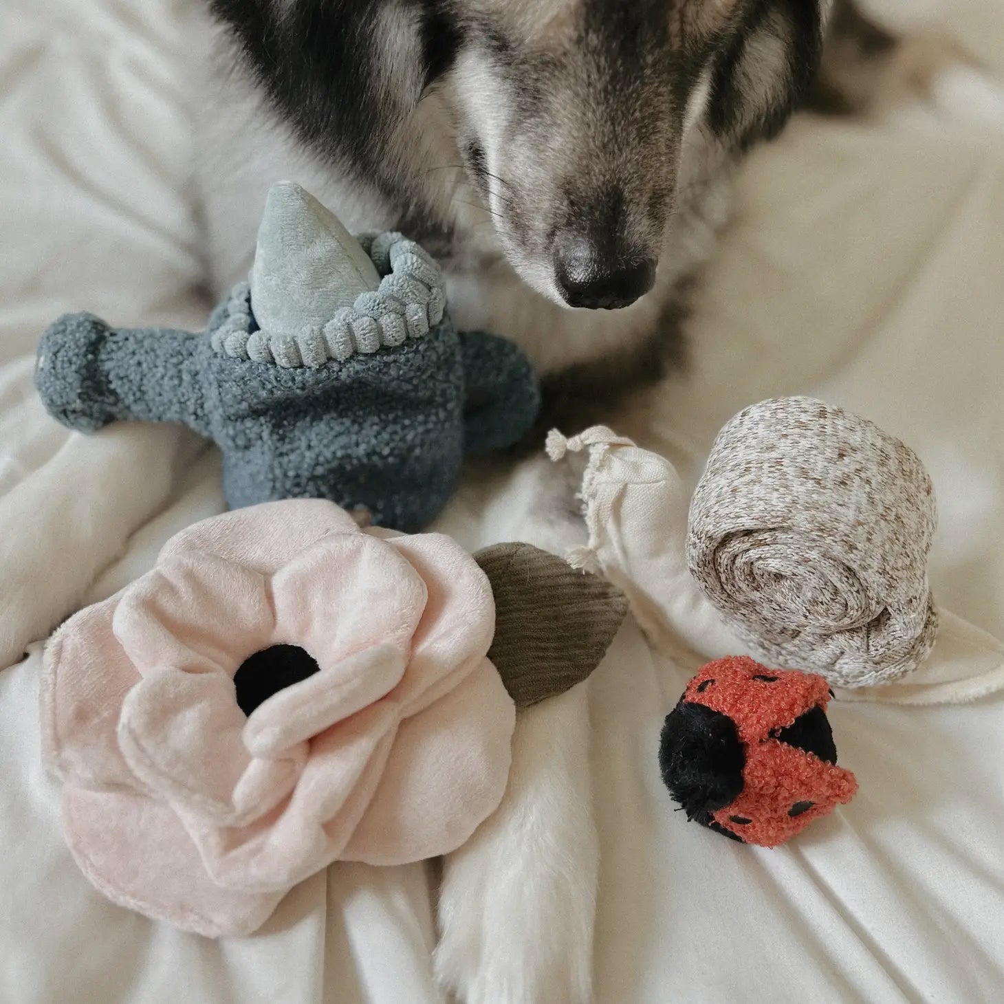 Poppy Large | Snuffle Toy