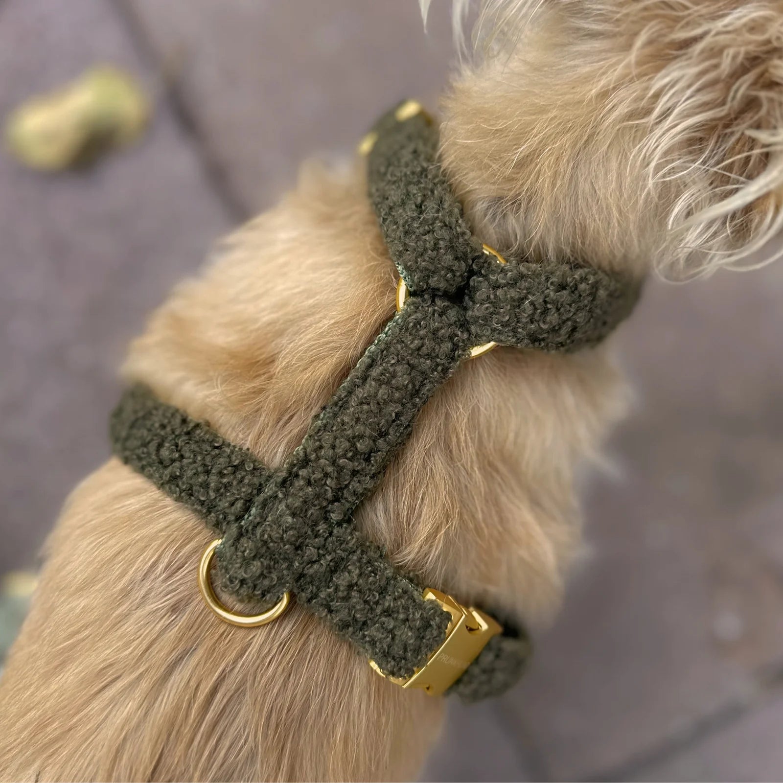 Harness Teddy - Olive