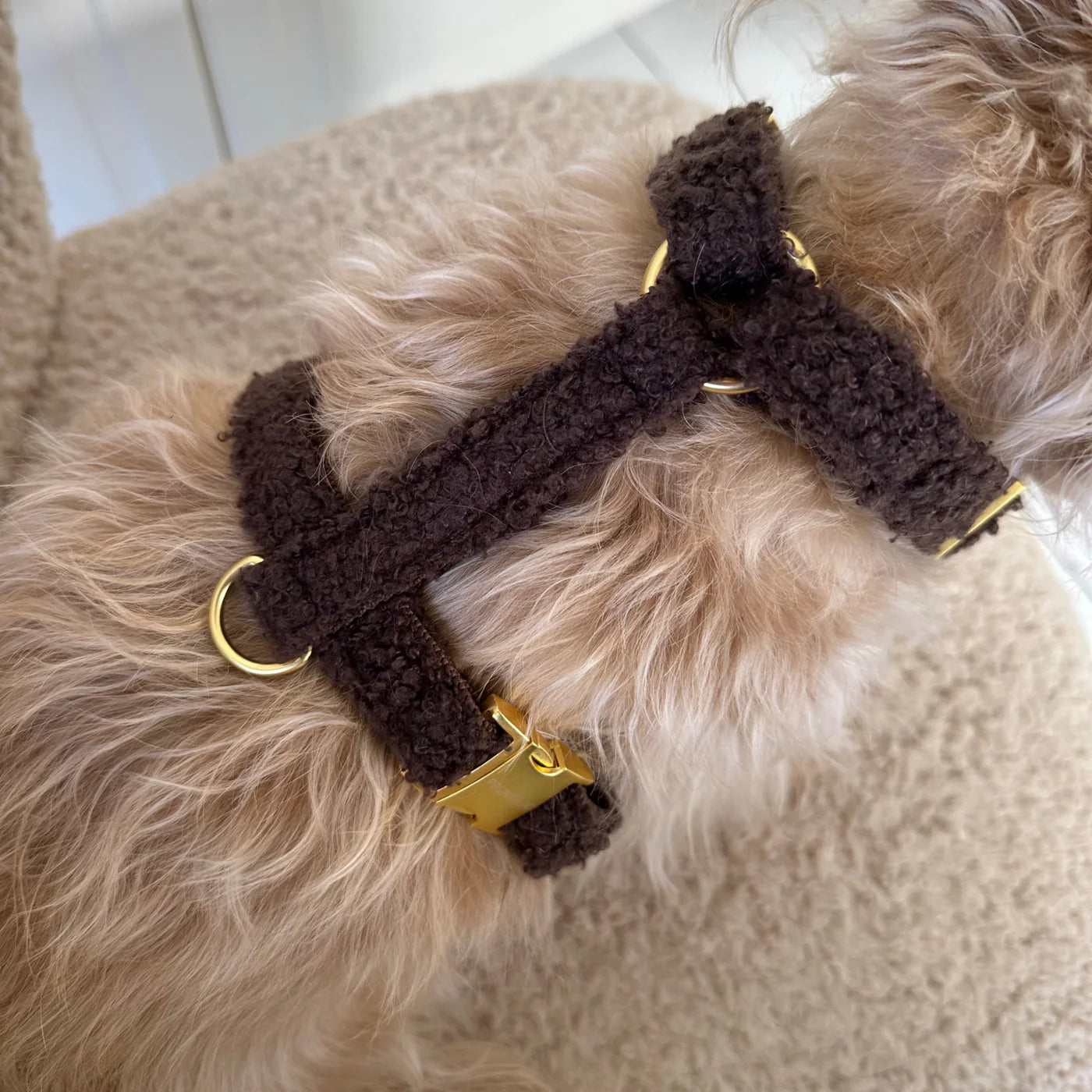 Harness Teddy - Mocca