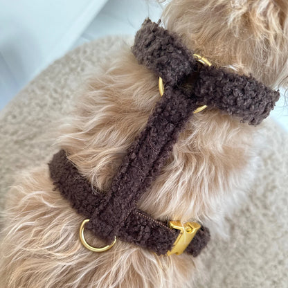 Harness Teddy - Mocca