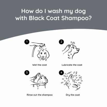 Labrador Care Set | Black Coat