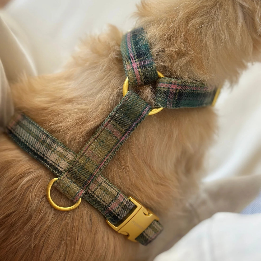 Harness Tartan