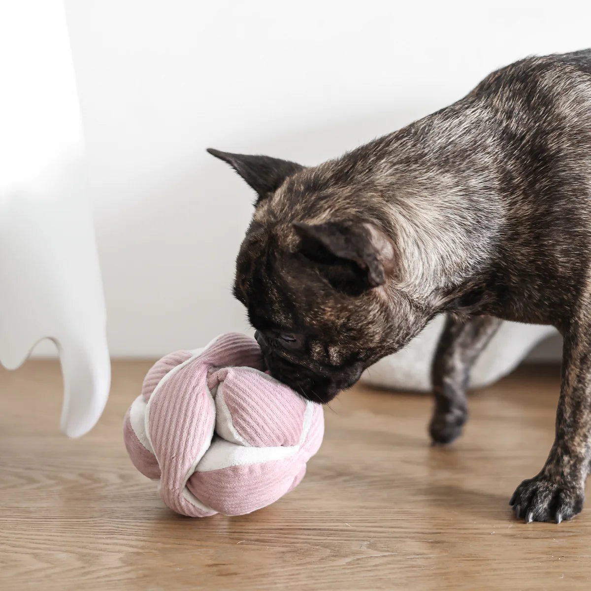 Monti - Rosa | Snuffle Ball