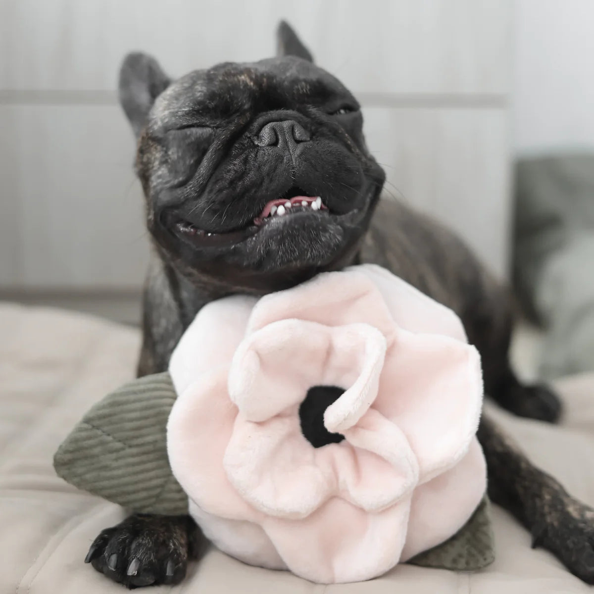 Poppy Large | Snuffle Toy