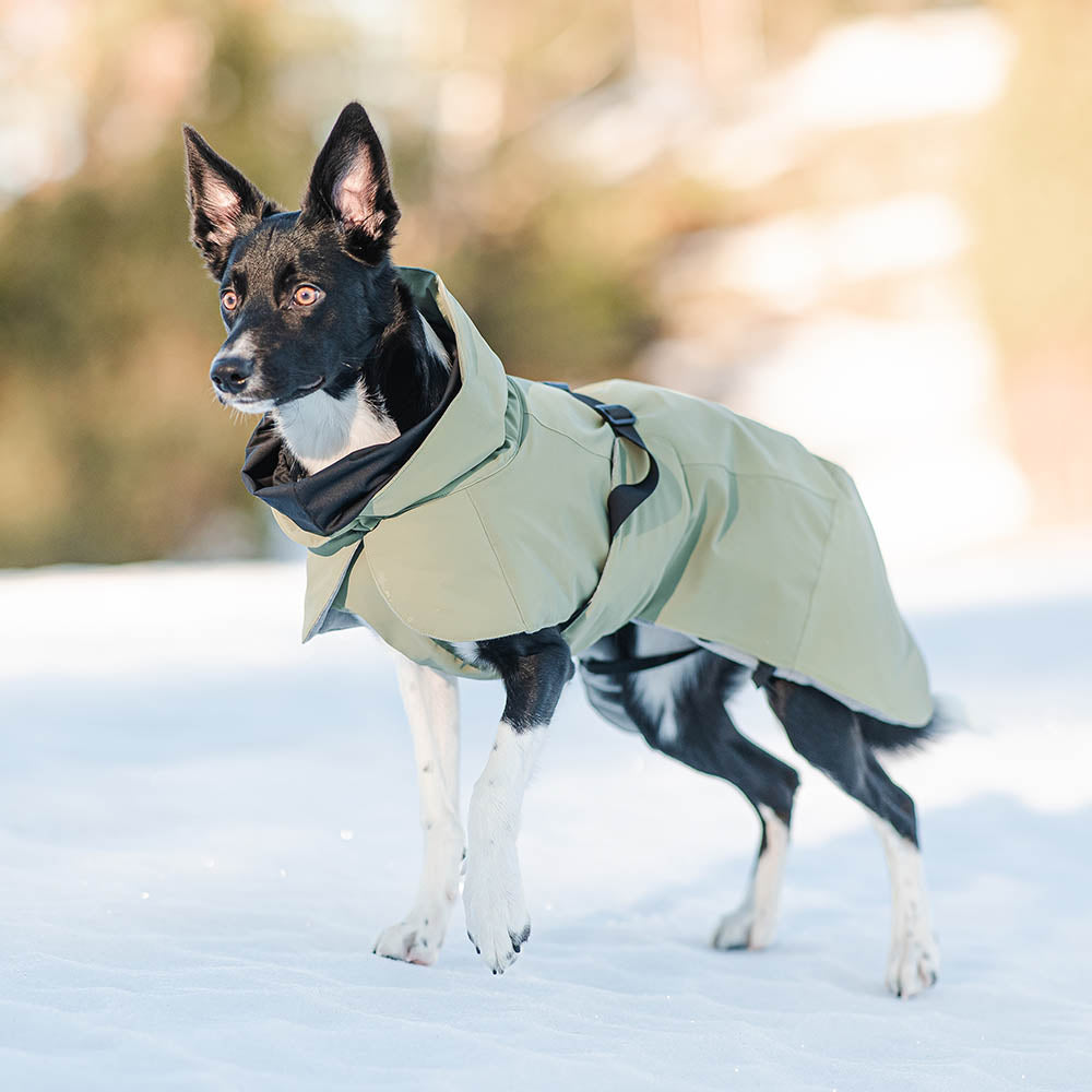 Chaqueta de invierno Visibility - Verde