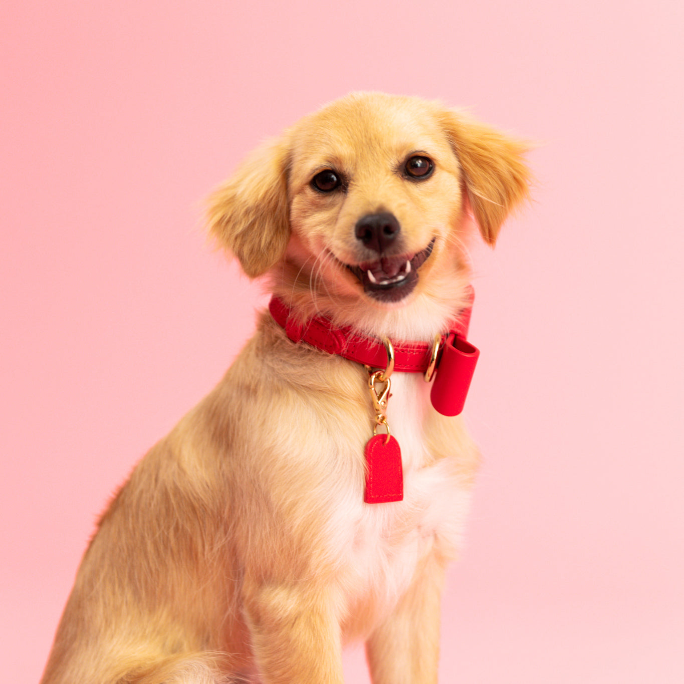 Rojo Ferrari - Collar de cuero vegano