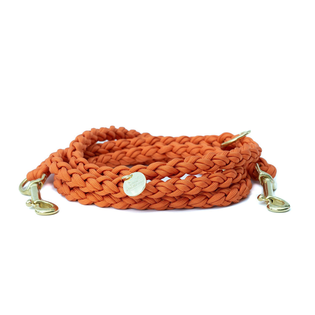 Fox Paracord Leash