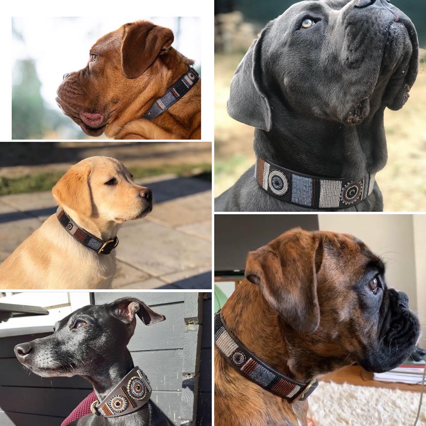 Collar de perro con cuentas - Volcan