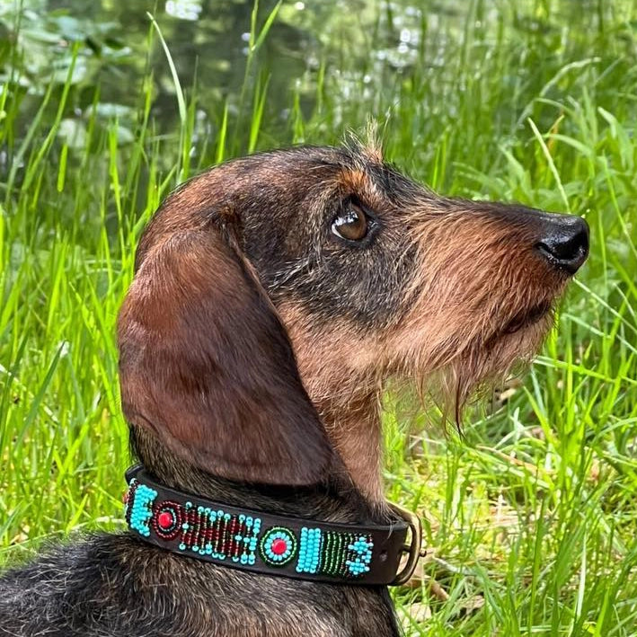 Collar de perro con cuentas - Hatti