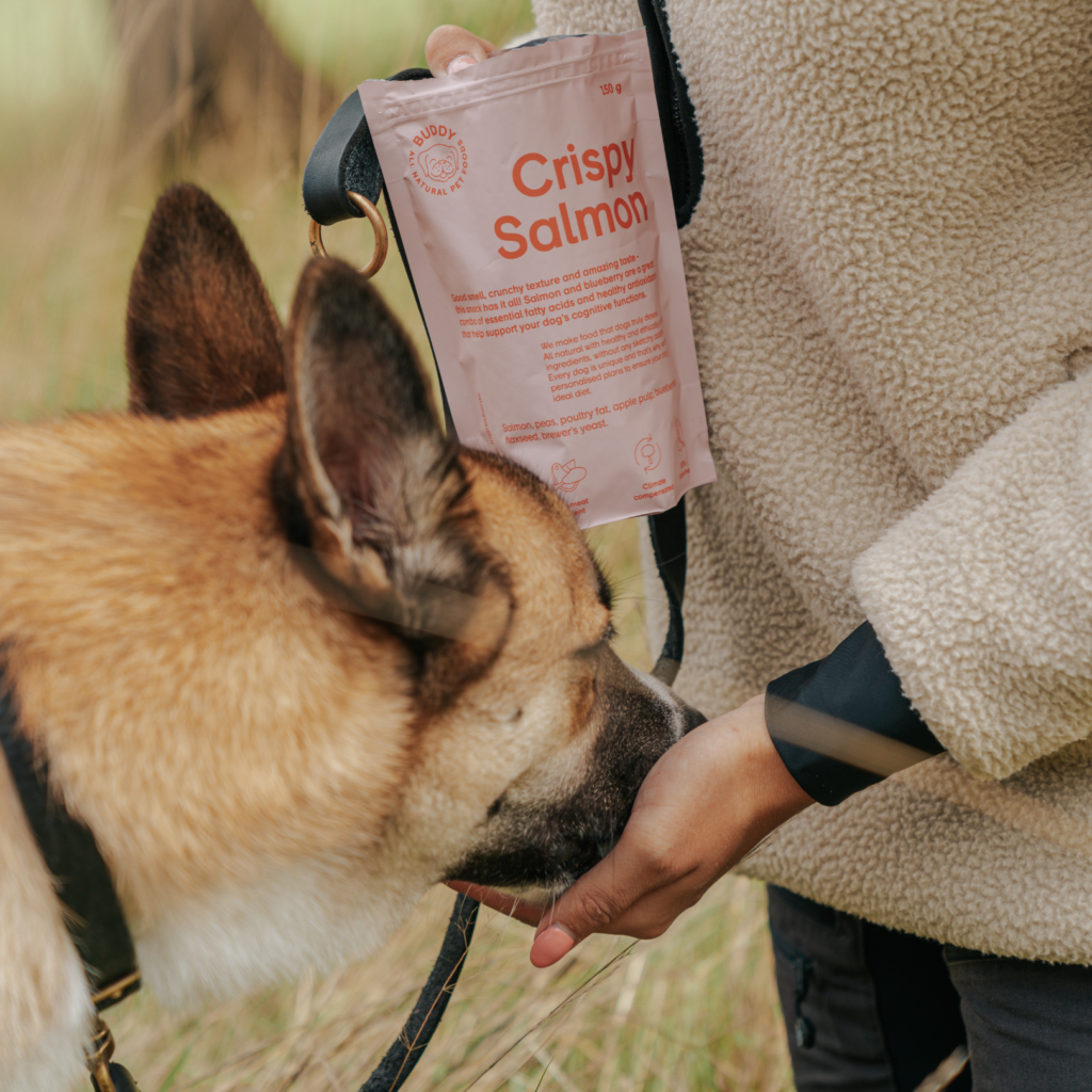 Snack crujiente de salmón con arándanos