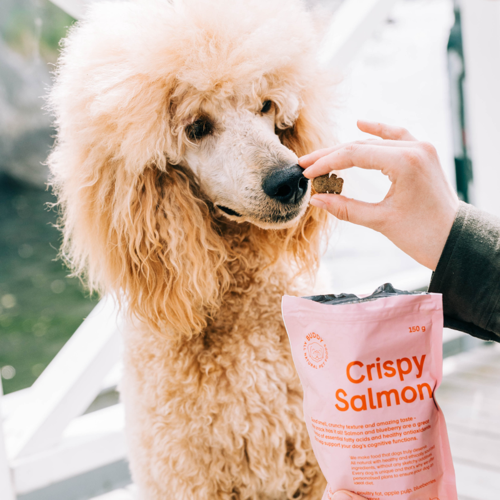 Snack crujiente de salmón con arándanos