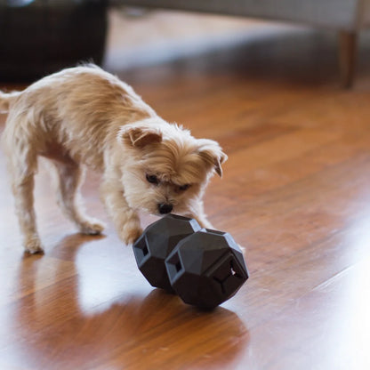 Odin Moderno Juguete Rompecabezas Interactivo para Perros - Gris Pizarra