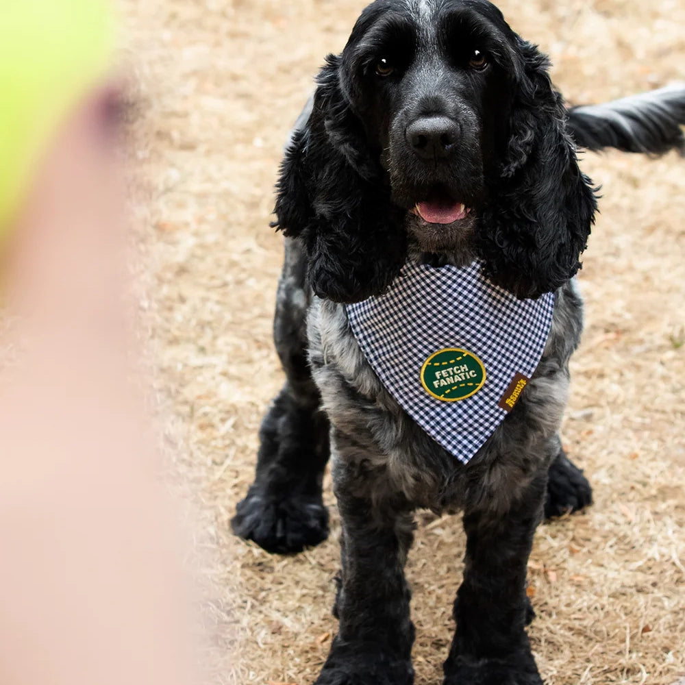 Insignia de fanático de Fetch